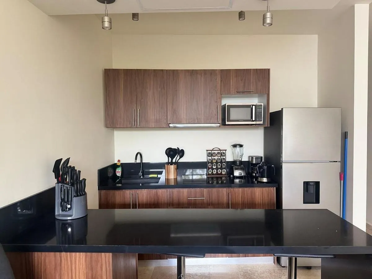 Loft Apartment In A Private Condominium トゥルム